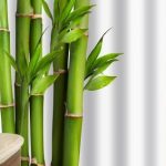 Zuhanyfüggöny - BAMBOO CANE - Impregnált textil - 180 x 200 cm