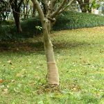 Novaro juta tekercs 0,25 x 5 m 100% juta 200 gsm