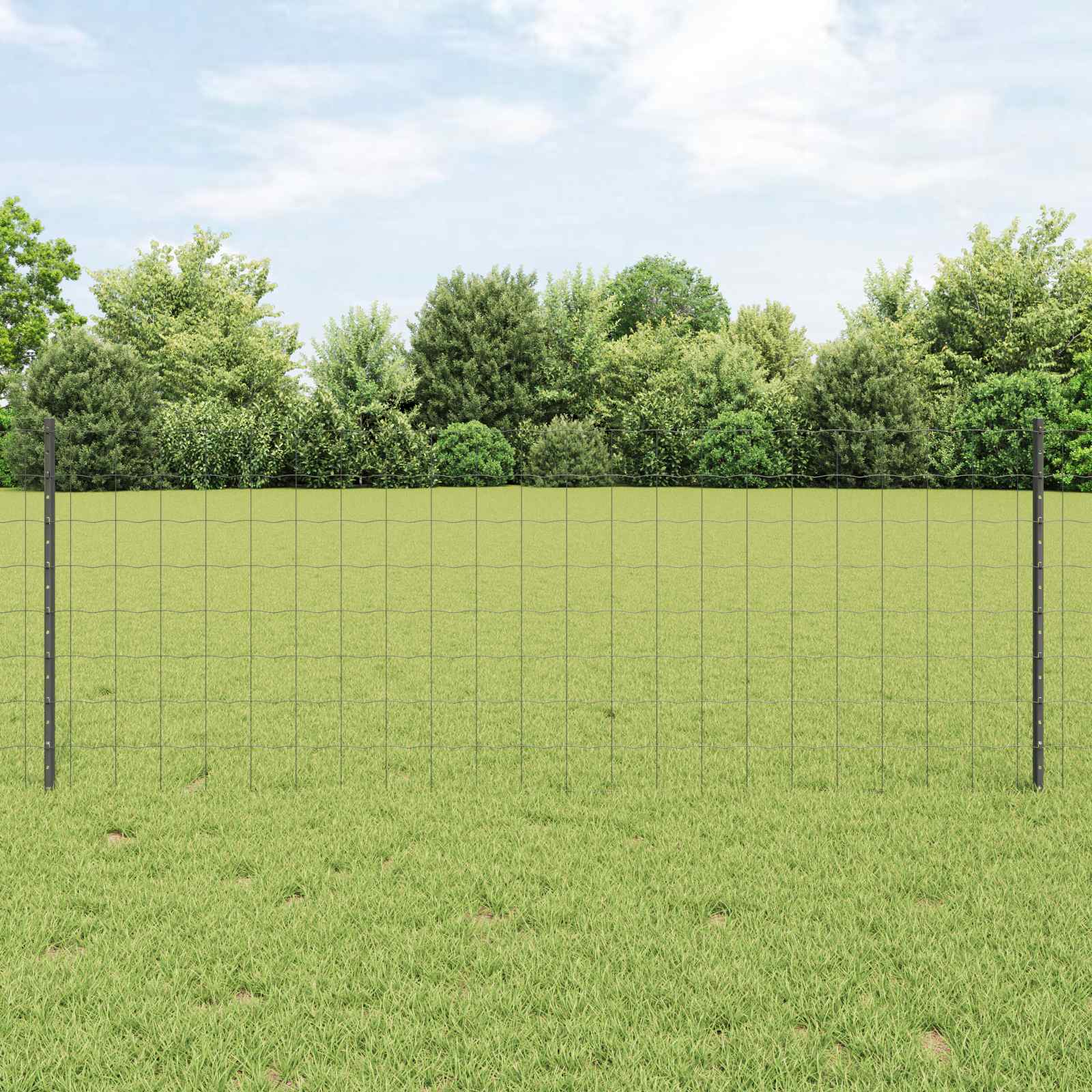 Novaro Európai kerítés oszloppal 10 x 0,8 m PVC-bevonatos acél Szürke