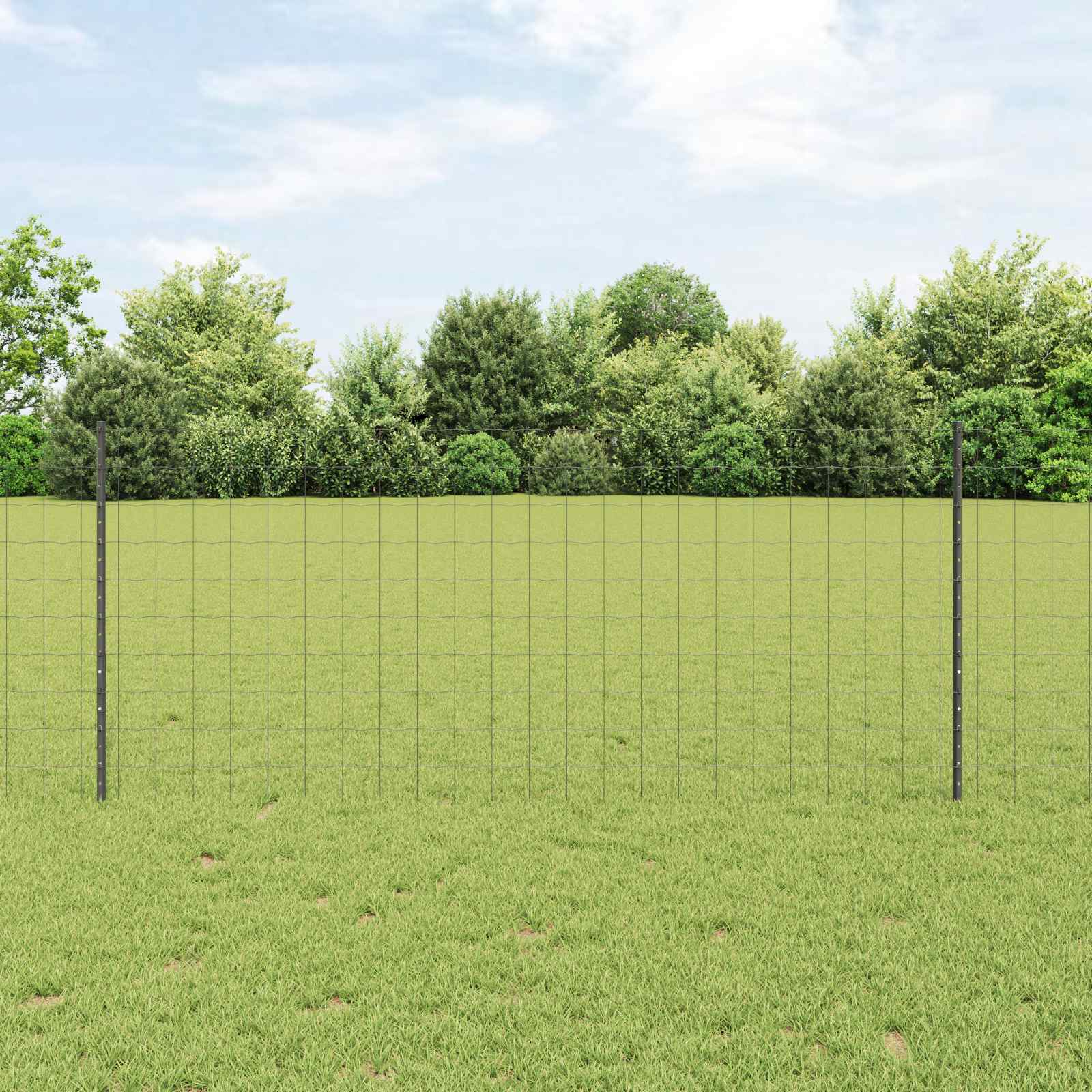 Novaro Európai kerítés oszloppal 10 x 1 m PVC-bevonatos acél Szürke