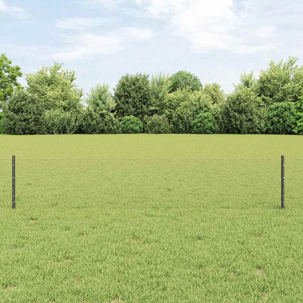 Novaro Hatszögletű kerítés oszlopokkal 10 x 0,4 m PVC-bevonatos acél