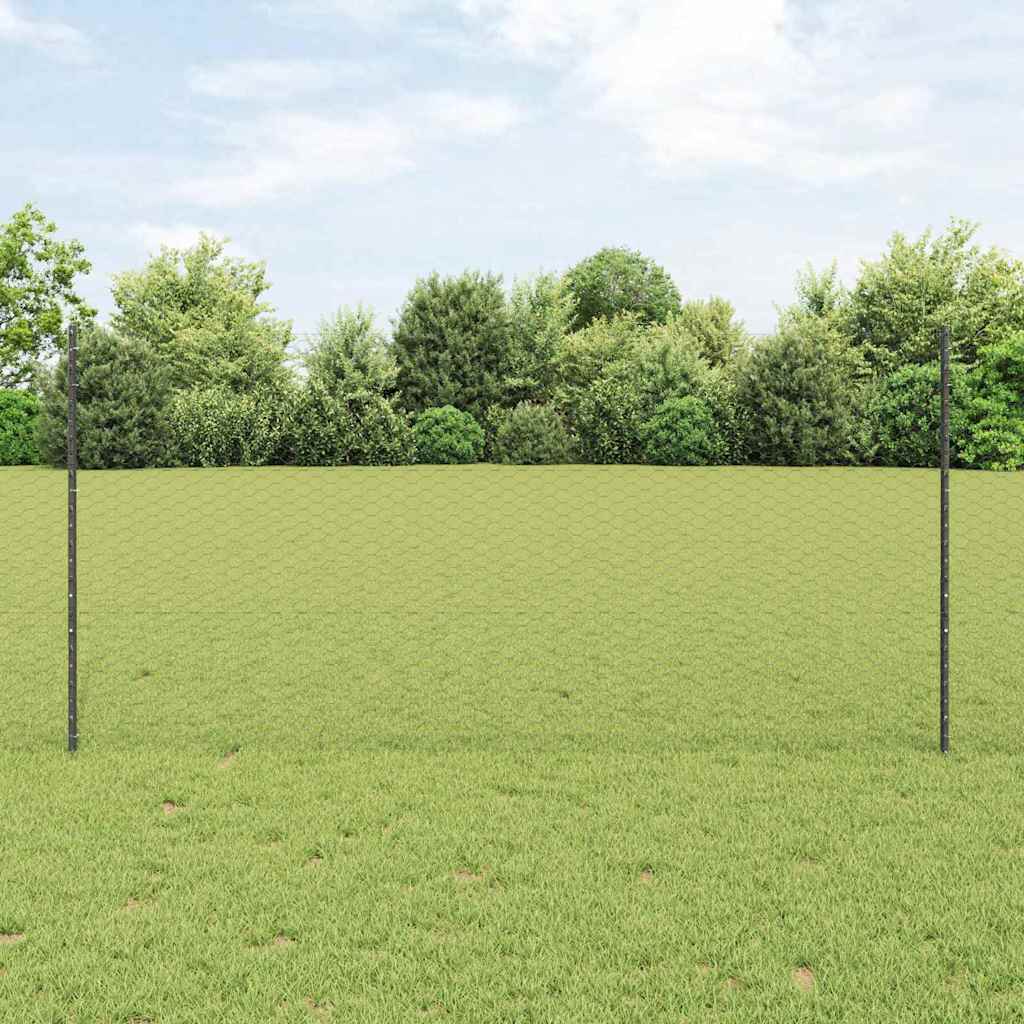 Novaro Hatszögletű kerítés oszlopokkal 10 x 1,2 m PVC-bevonatos acél