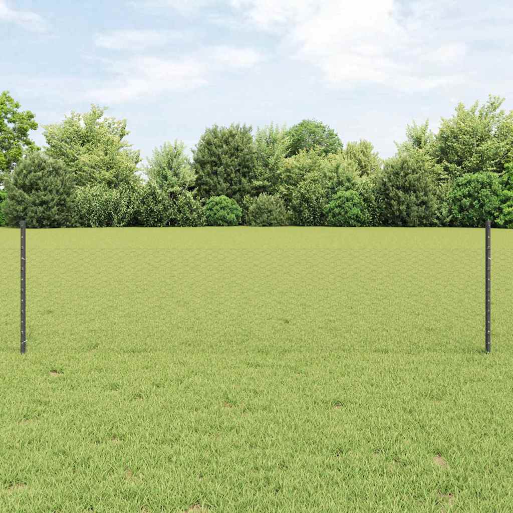 Novaro Hatszögletű kerítés oszlopokkal 25 x 0,5 m PVC-bevonatos acél
