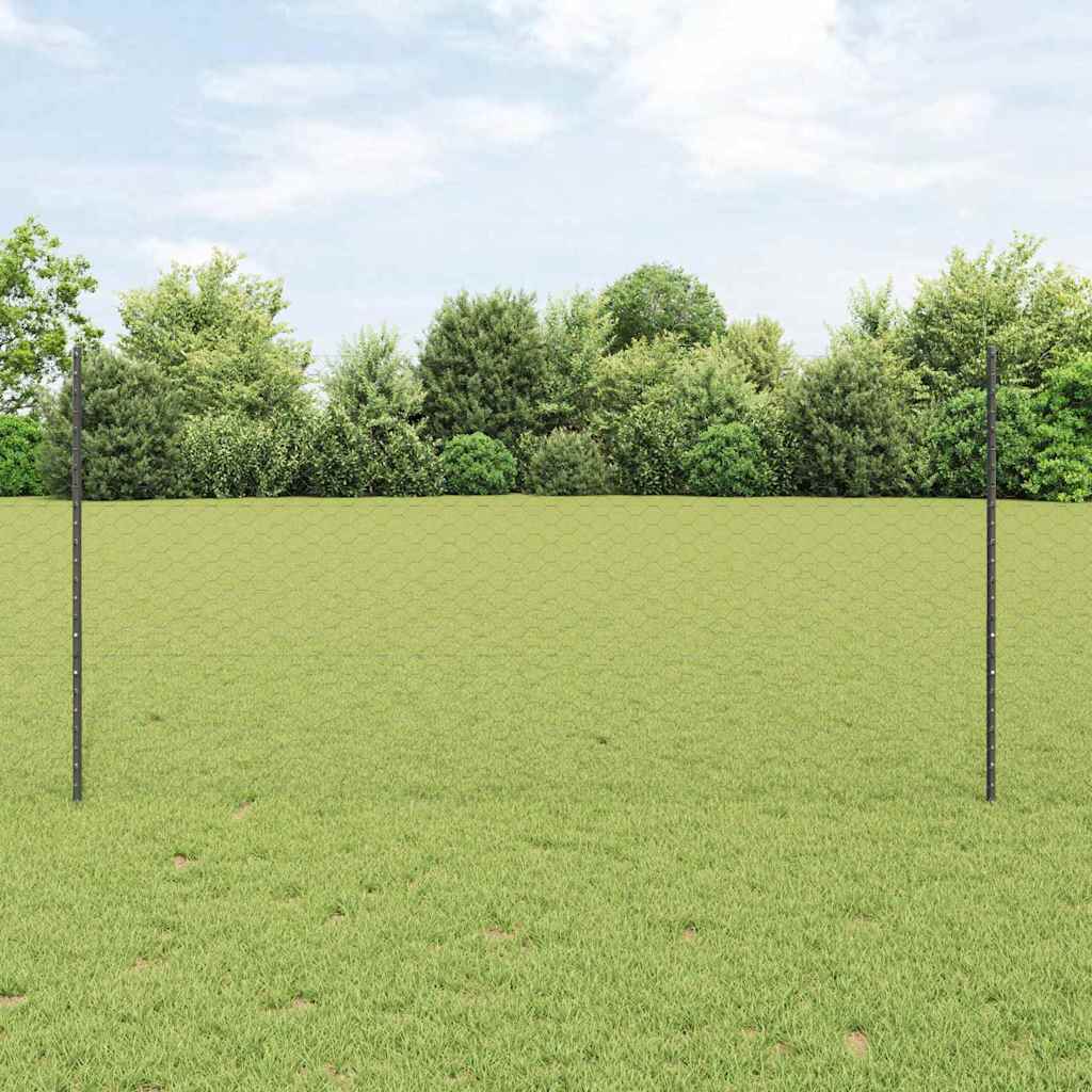 Novaro Hatszögletű kerítés oszlopokkal 25 x 1,2 m PVC-bevonatos acél
