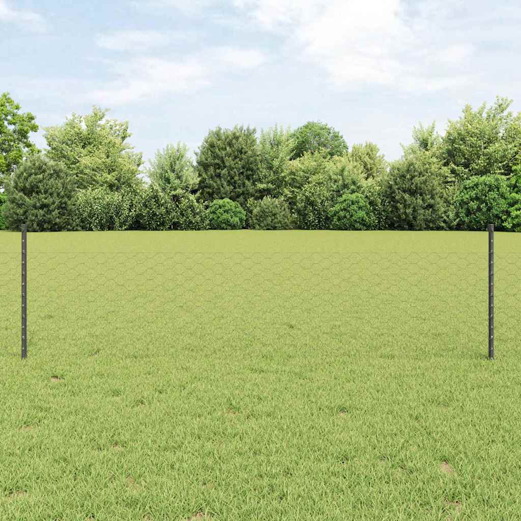 Novaro Hatszögletű kerítés oszlopokkal 100 x 0,5 m PVC-bevonatos acél