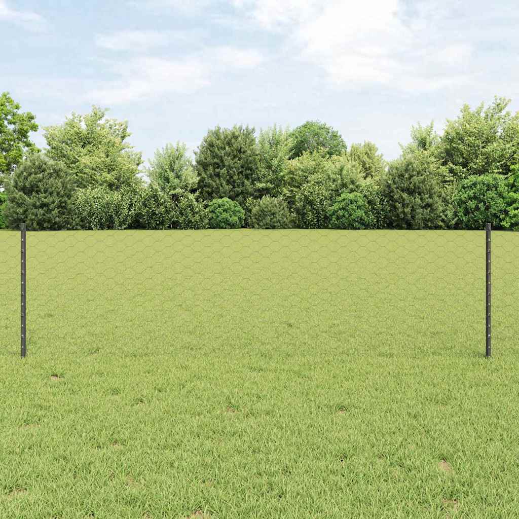 Novaro Hatszögletű kerítés oszlopokkal 100 x 0,6 m PVC-bevonatos acél